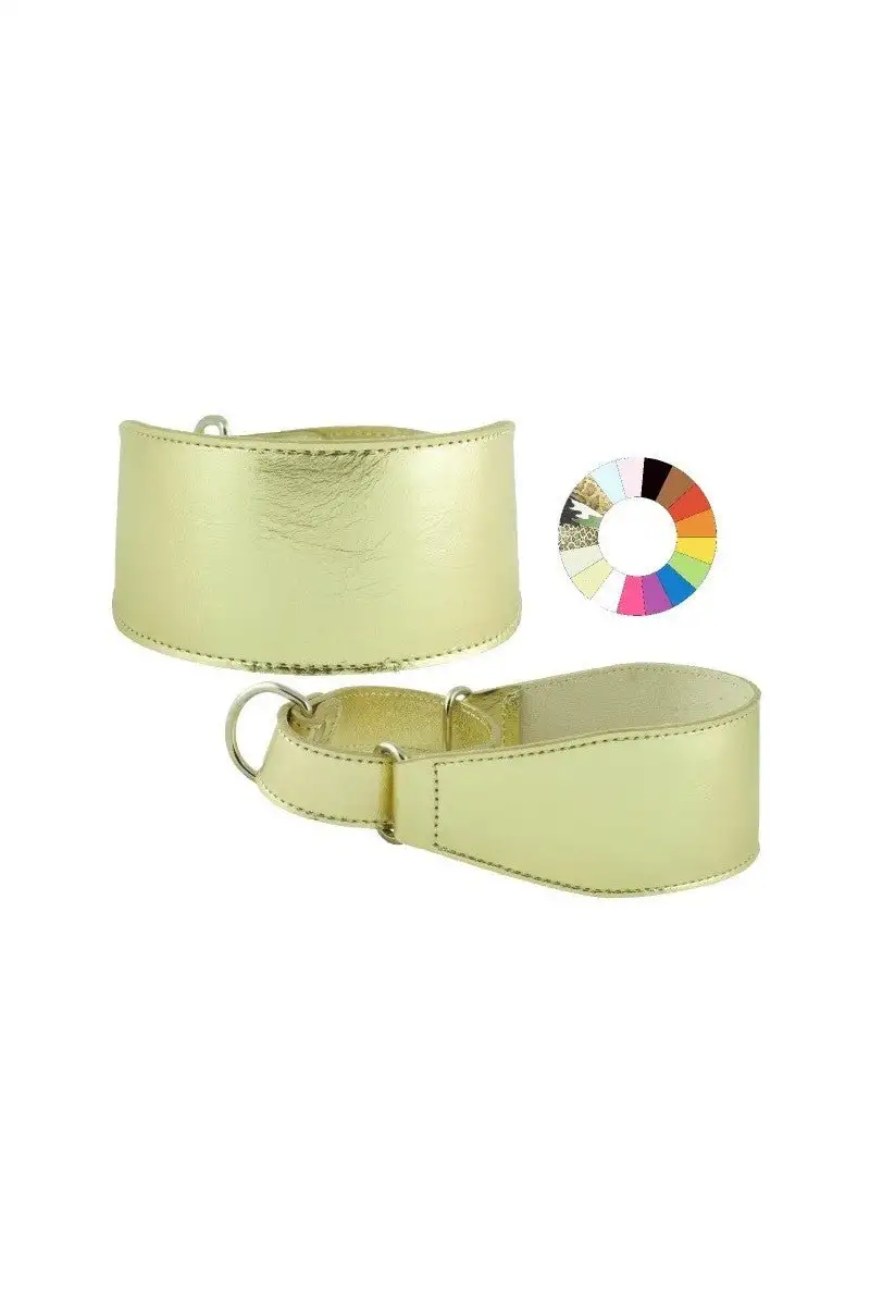 Youpet Collar Galgo Marting Estre Negro 25-35 L350 A60 1un