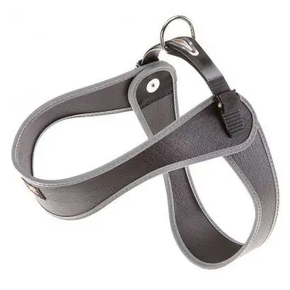 Youpet Arnes Little Fucxia A22 C500/39-45 P650/54-60 1un