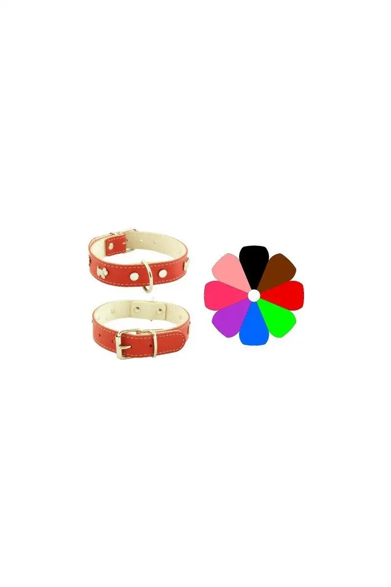 Youpet Collar Mountain Westy Oro 100g