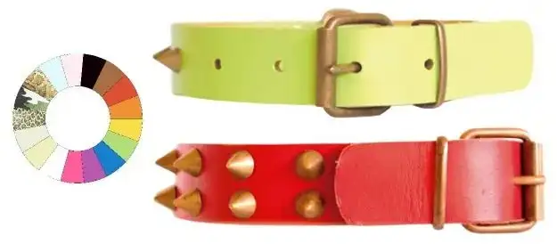 Youpet Collar Leather Class Co1F Vl 54-63 L700 A40 1un