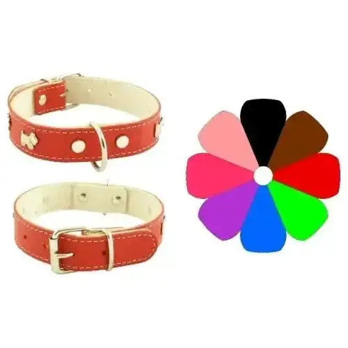 Youpet Collar Mountain Westy 59-68 cm