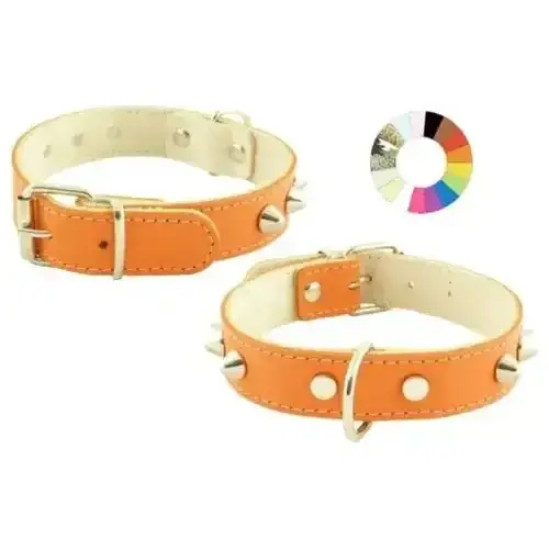 Youpet Collar Mountain Piel Oro L400 A25 1un