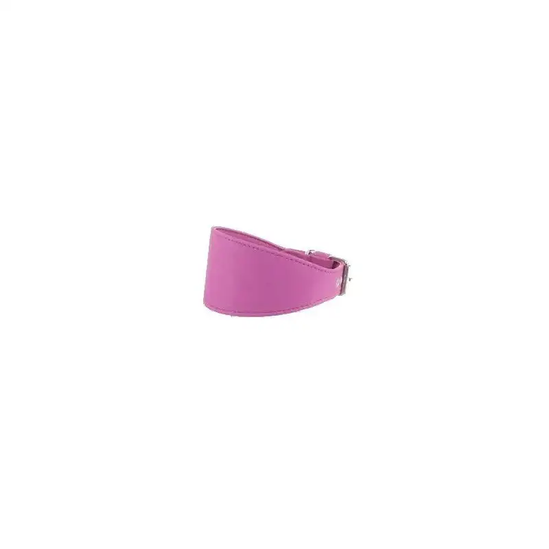 Youpet Collar Elements Galgo Verde Lima 33/38 L450 A60 1un