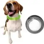 Youpet Collar Little Carrier Fluor Lim 19/22 L250 A22 1un