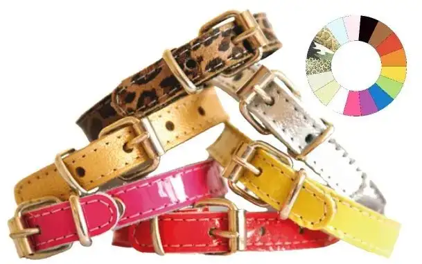 Youpet Collar Little Charol Blanco 38-42 L450 A22 1un