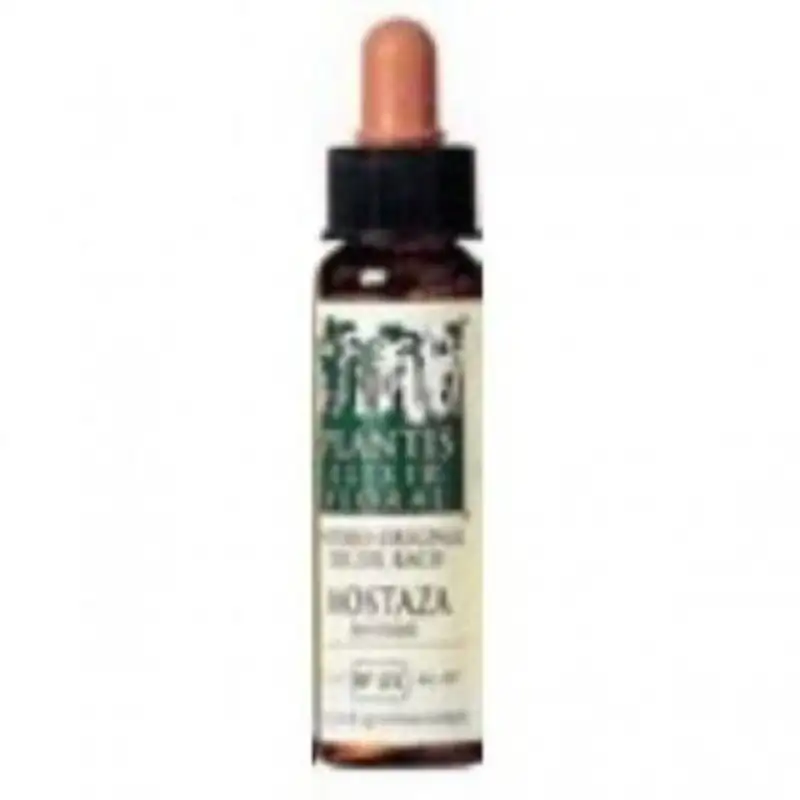 Plantis Mostaza-21 Elixir Floral (Dc. Bach) Eco 10 ml