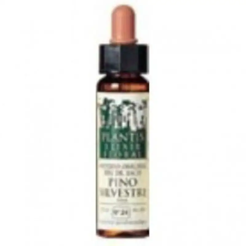 Plantis Pino Silvestre-24 Elixir Floral (Dr. Bach) Eco 10 ml