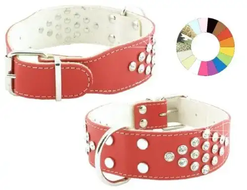 Youpet Collar Bull-Dog Fant Rj 50-59 L650 A40 1un