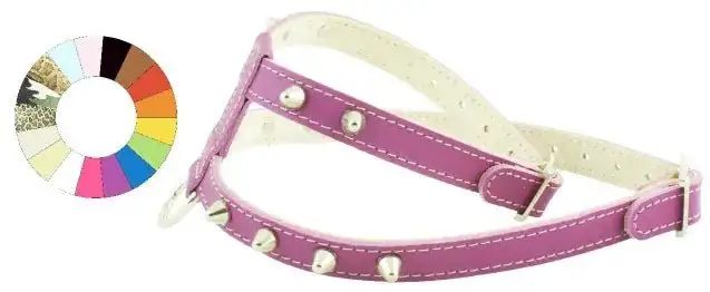 Youpet Arnes Little Co1F Amarillo A16 C350/24-30 P500/39-45 1un