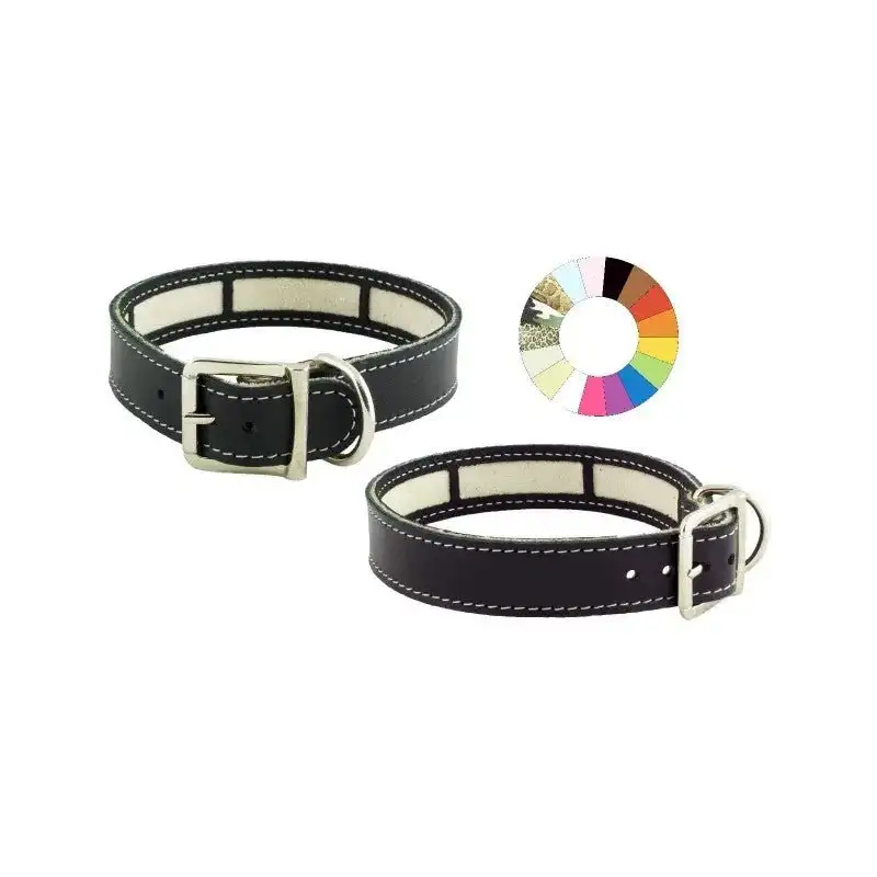 Youpet Collar Little Carrier Naranja 19/22 L250 A22 1un