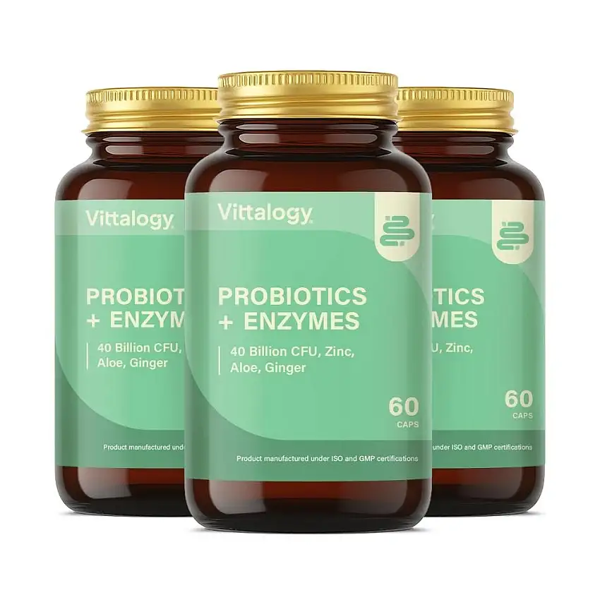 Vittalogy Probiotics + Enzymes 3x60 Comprimidos【PACK AHORRO】