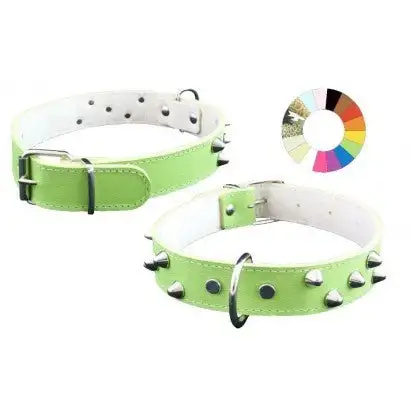 Youpet Collar Mountain Co3F Azul 44-53 L600 A30 1un