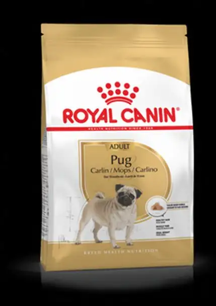 Royal Canin Adult Carlino 25 Pienso para Pugs 3Kg