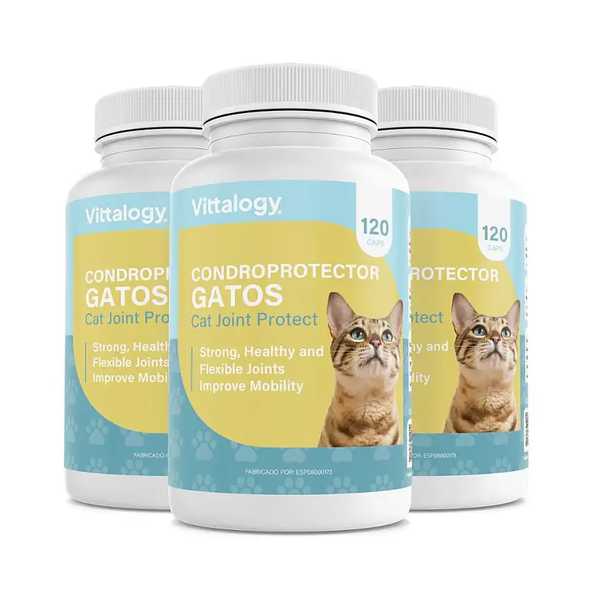 Vittalogy Condroprotector para Gatos 3x120 Cápsulas【PACK AHORRO】