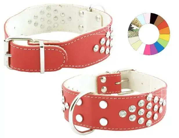 Youpet Collar Bull-Dog Fant Az 45-54 L600 A40 1un