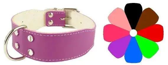 Youpet Collar Bull-Dog Am 30-39 L450 A40 1un