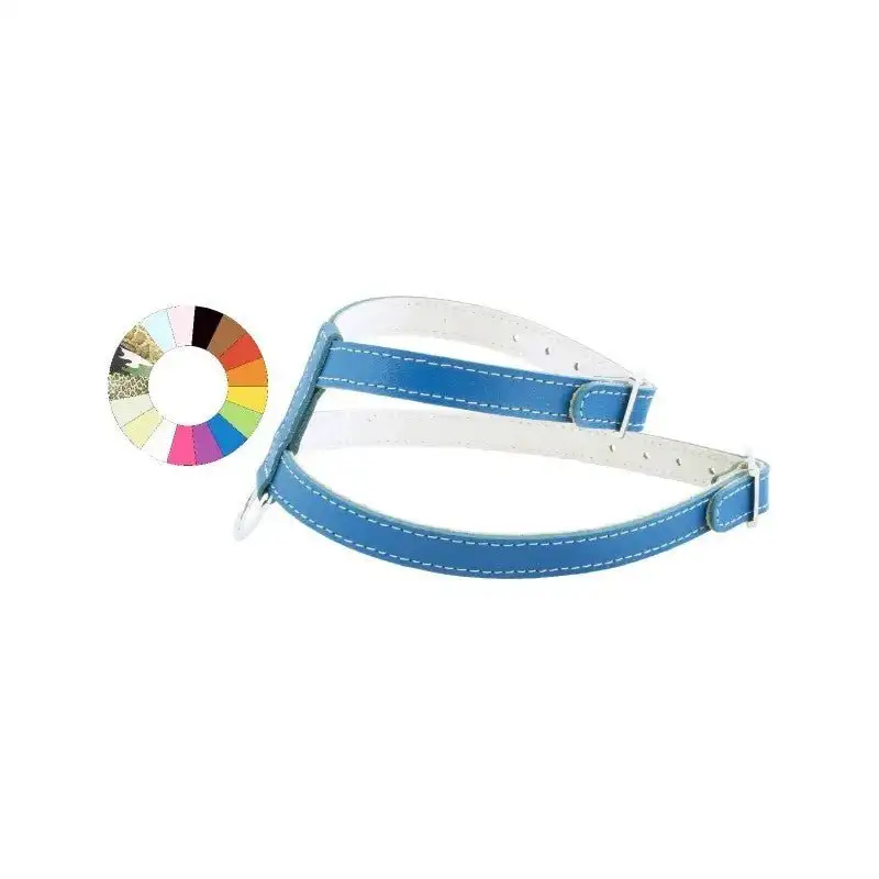 Youpet Arnes Little Azul A22 C500/39-45 P650/54-60 1un