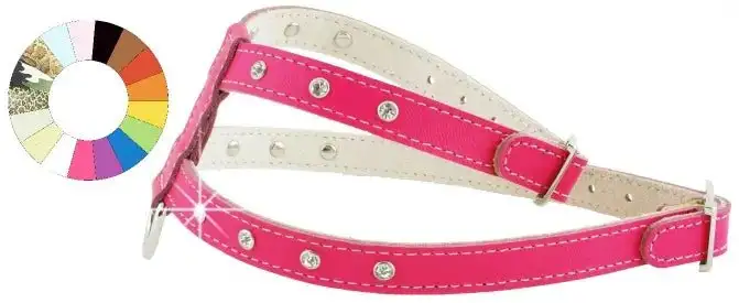 Youpet Arnes Little Fant Oro A22 C500/39-45 P650/54-60 1un