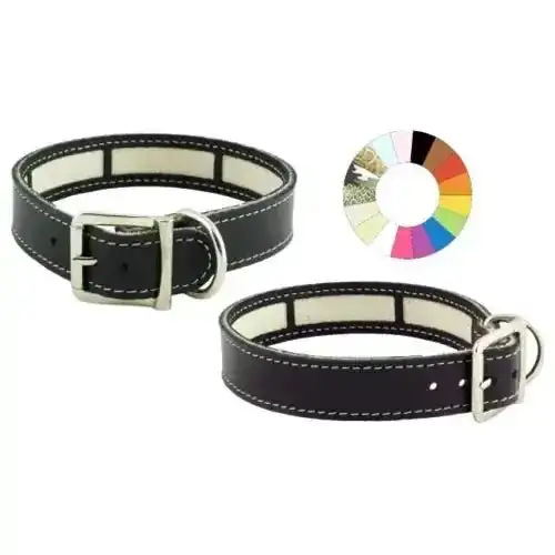 Youpet Collar Little Carrier Oro 29/32 L350 A22 1un