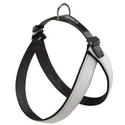 Youpet Arnes Little Co1F Fucxia A16 C350/24-30 P500/39-45 1un