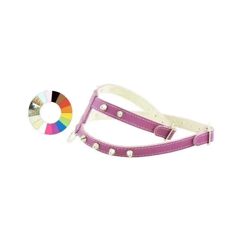 Youpet Arnes Little Co1F Azul A14 C300/19-25 P450/34-40 1un