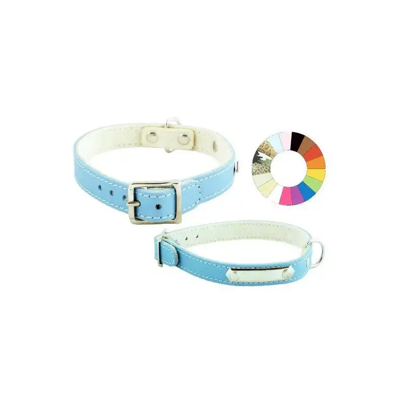Youpet Collar Little Chapa Oro 38-42 L450 A22 1un