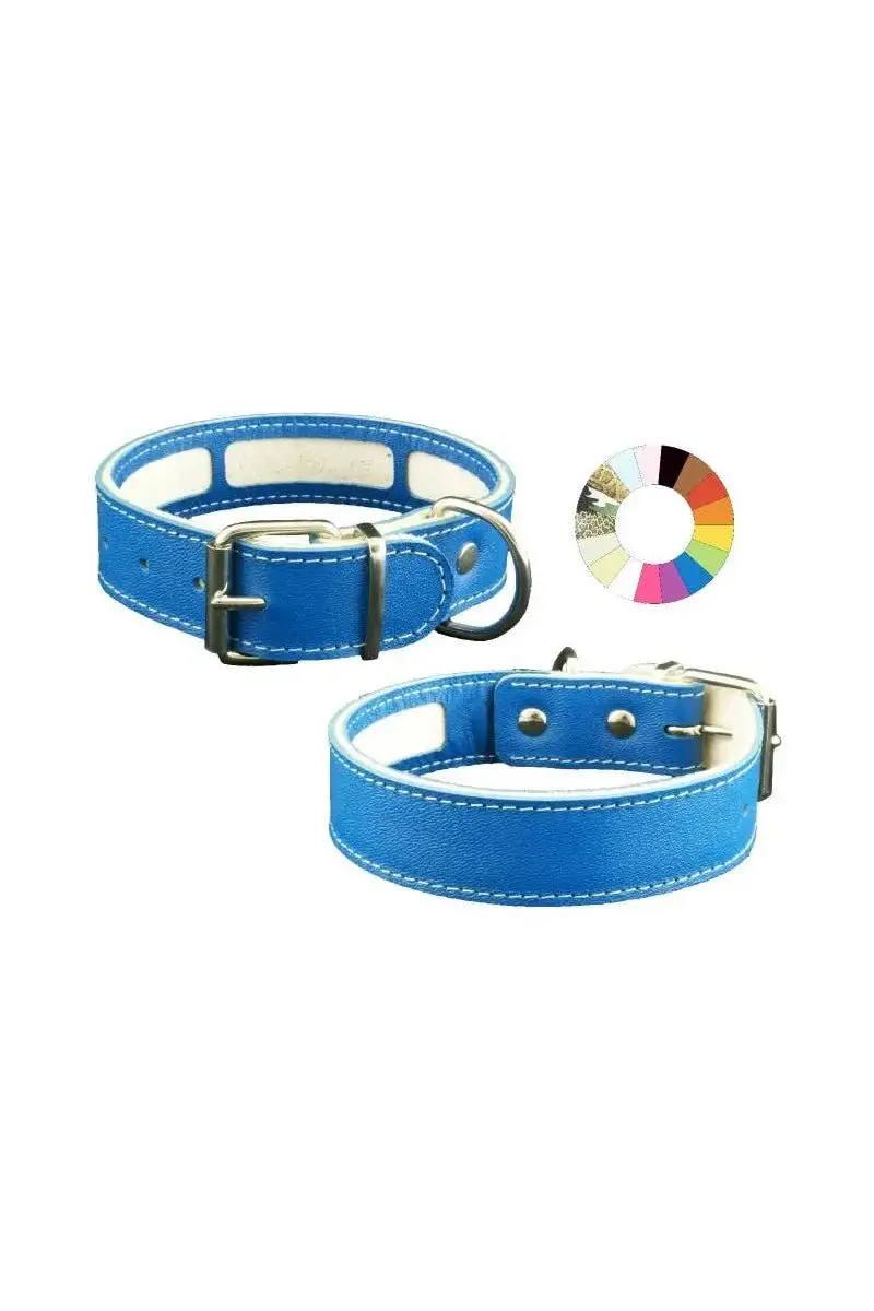 Youpet Collar Carrier Mimt 27-35 L350 A30 1un