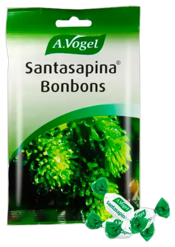 Caramelo Santasapina Bonbons 100 gr
