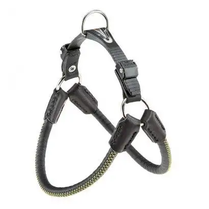 Youpet Arnes Little Plata A16 C400/29-35 P550/44-50 1un