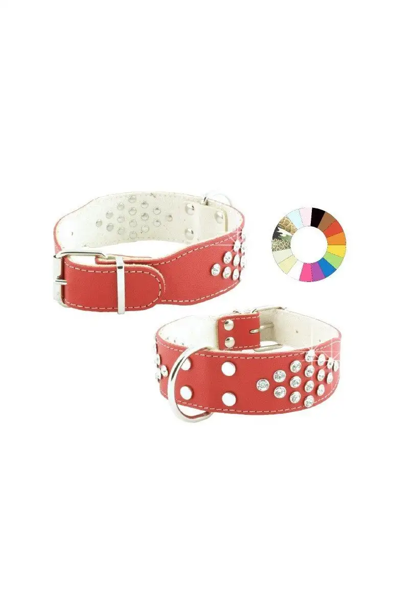 Youpet Collar Bull-Dog Fant Mr 55-64 L700 A40 1un