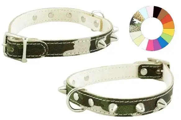 Youpet Collar Little Co1F Az 18-22 L250 A14 1un