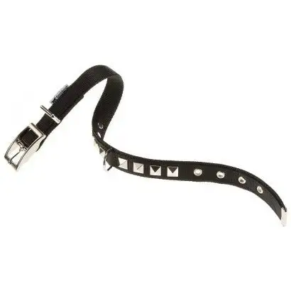 Youpet Collar Little Co1F Az 14-17 L200 A14 1un