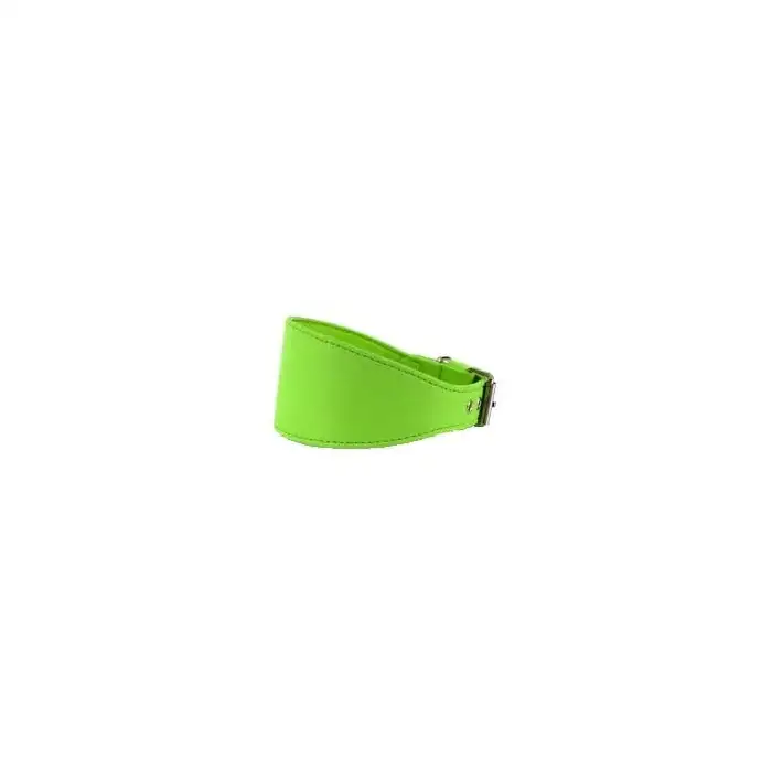 Youpet Collar Elements Galgo Verde 22/27 L350 A60 1un