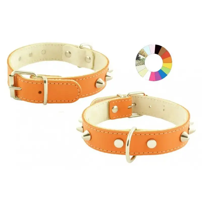 Youpet Collar Mountain Co1F Verde 40-46 L500 A25 1un